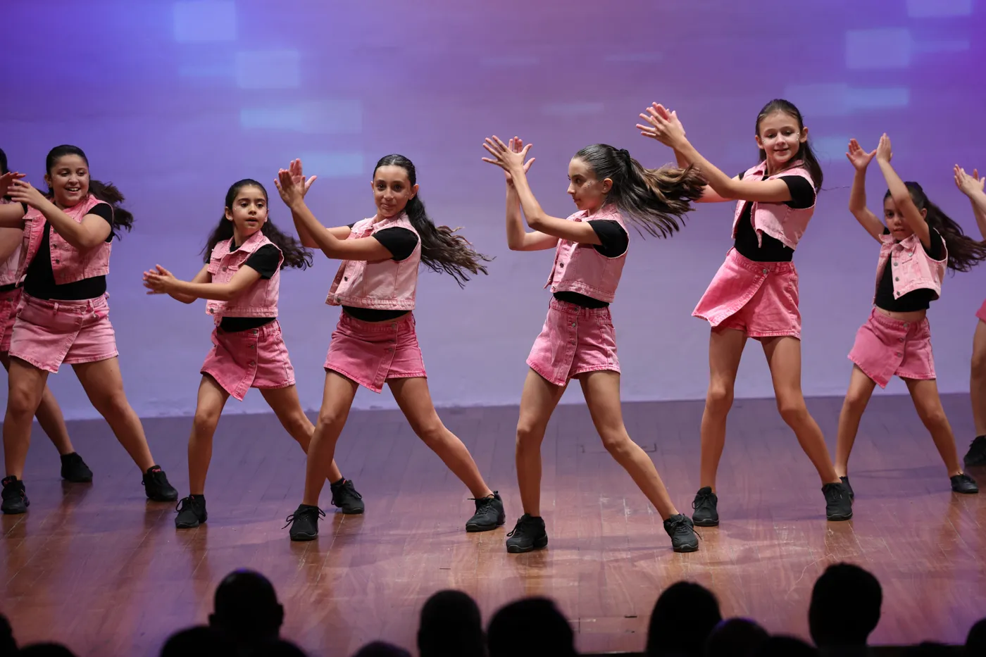 Annual Dance Show, photo 12